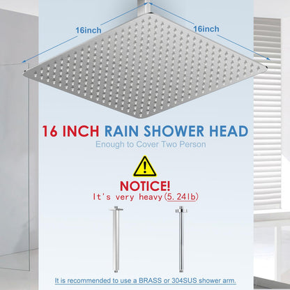 Stainless Steel Top Shower Head